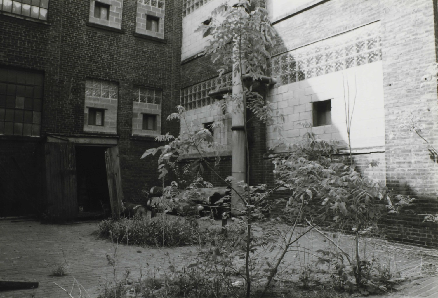 Federal Knitting Mills Building, Cleveland Ohio Courtyard (1999)