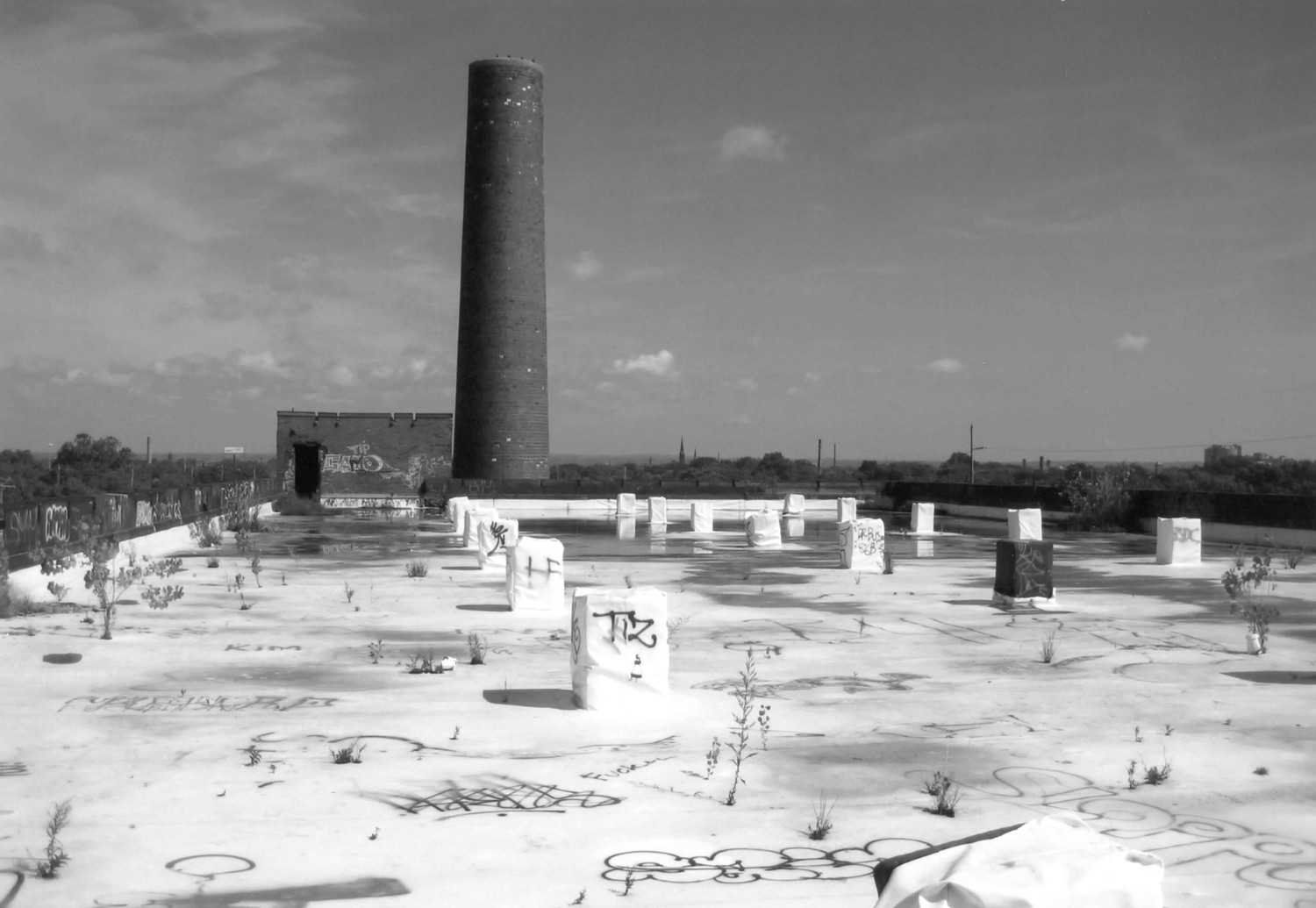 Joseph and Feiss Clothcraft Shops, Cleveland Ohio Warehouse building exterior, roof with brick pier bases, northeast tower and smokestack (2009)
