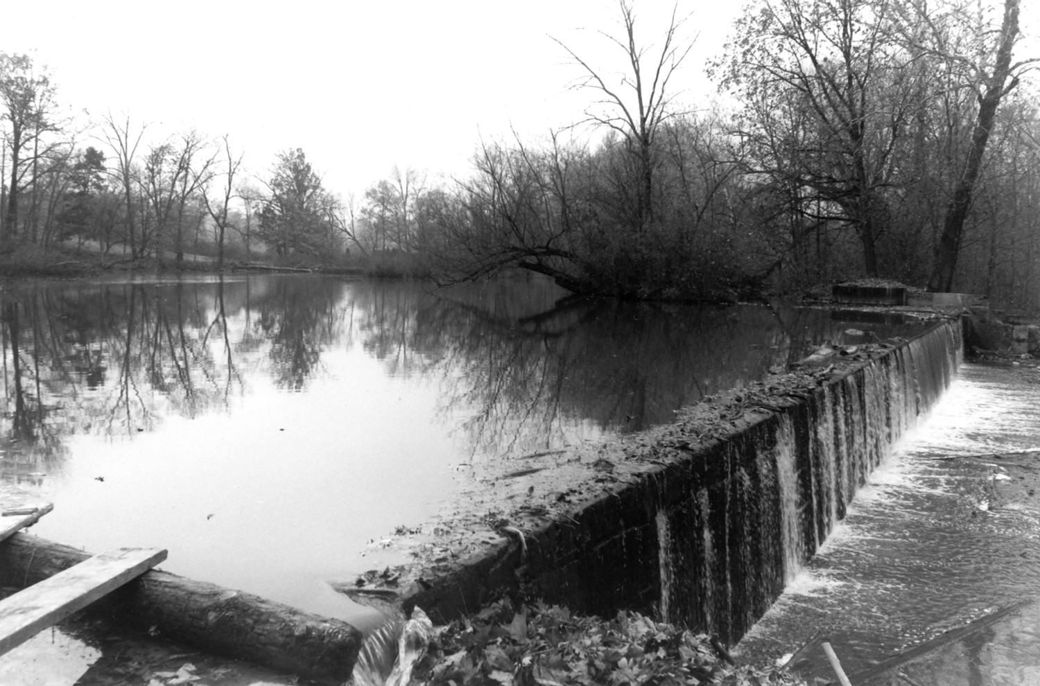 Bear's Mill, Greenville Ohio Three French buhr milling stone positions and hydraulic valves to control the turbines (1974)