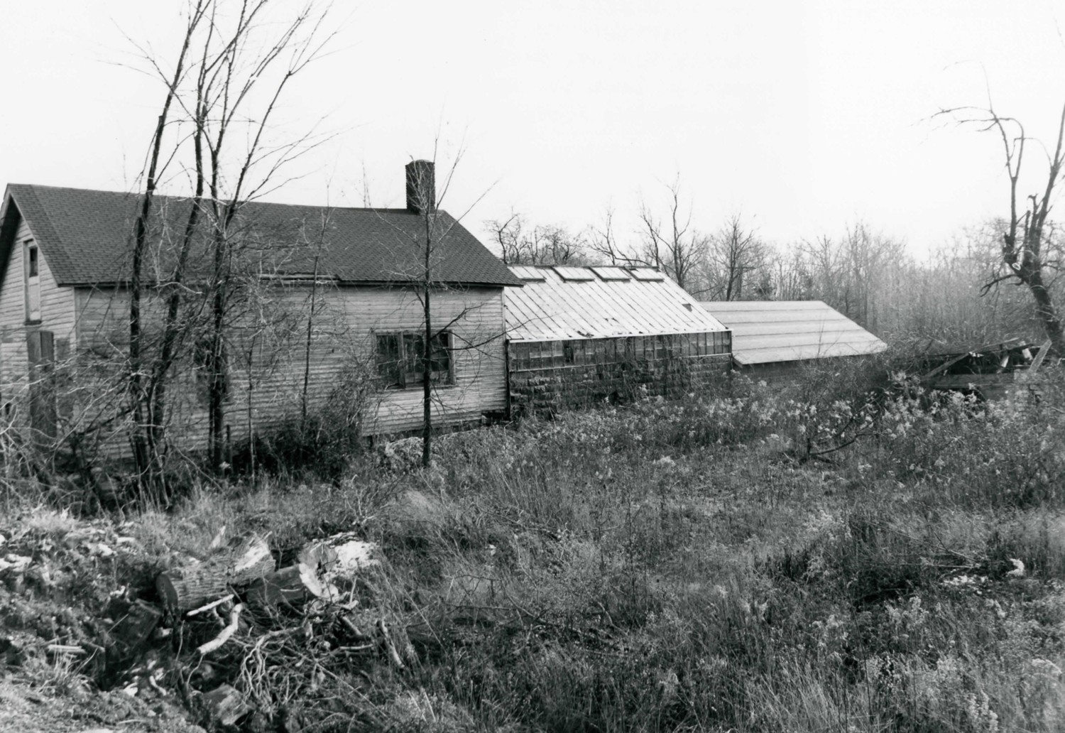 Edward and Louise Moore Estate, Mentor Ohio Greenhouse looking southeast (1986)