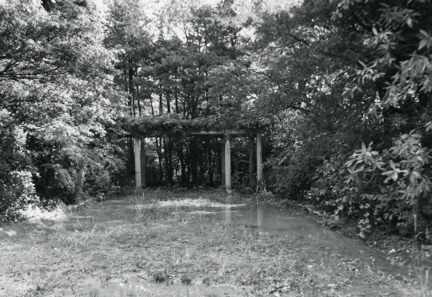 Edward and Louise Moore Estate, Mentor Ohio Pool and pergola looking east (1986)