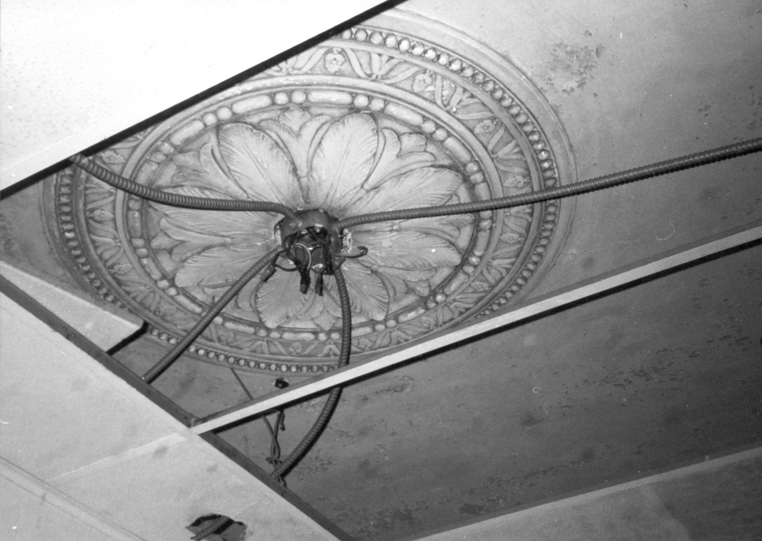 Lucas County Hospital and Nurse's Home, Toledo Ohio Hospital, ceiling medallion found in lobby and board room (1997)