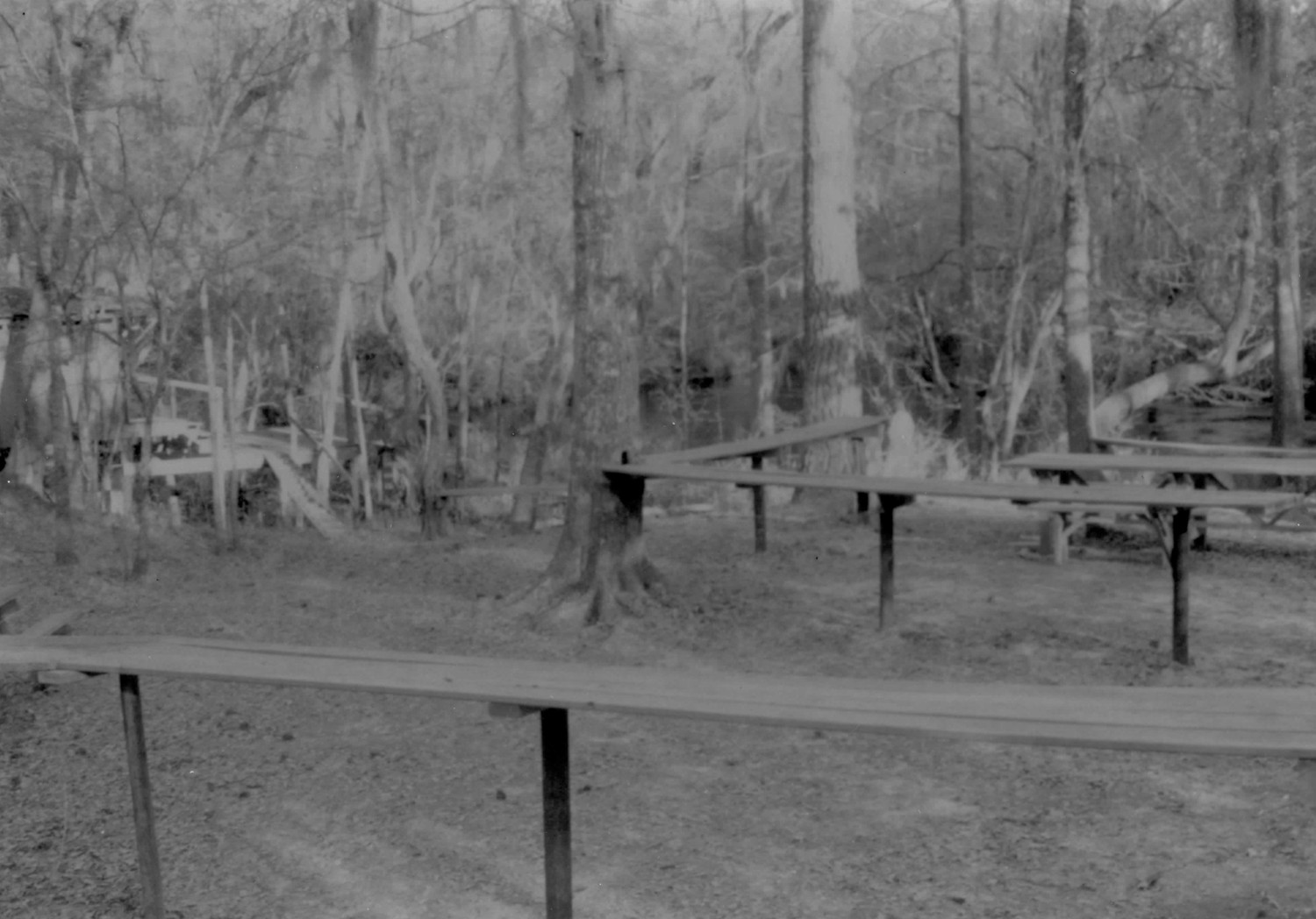 Oaklyn Plantation, Darlington South Carolina Picnic Benches at Swimming Hole 