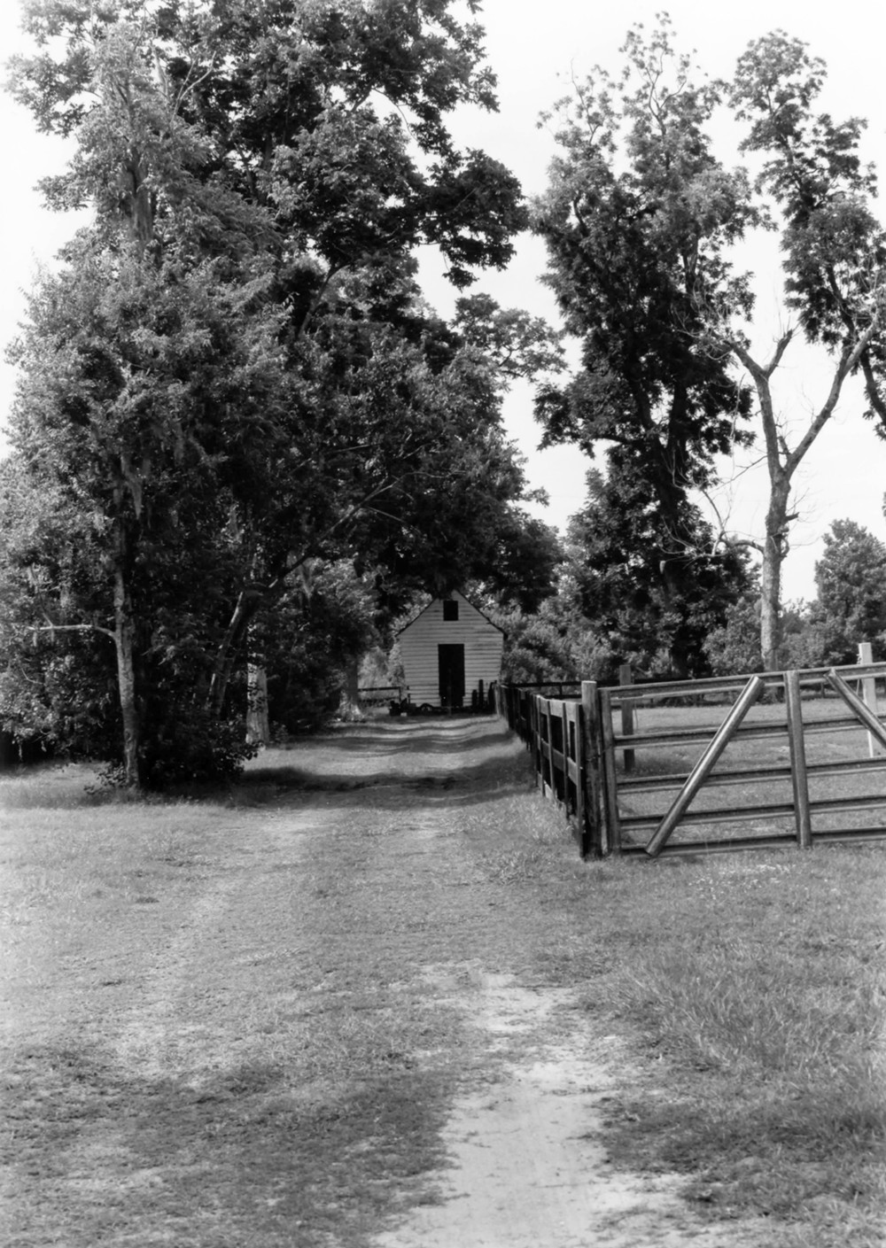 Boone Hall Plantation House, Mount Pleasant South Carolina Corncrib, view along lane between Stable and Tractor Barn (1993)