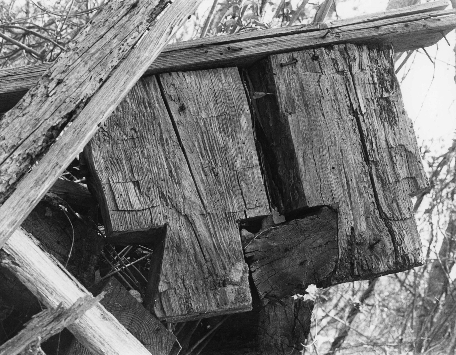 Allison Plantation, York South Carolina 