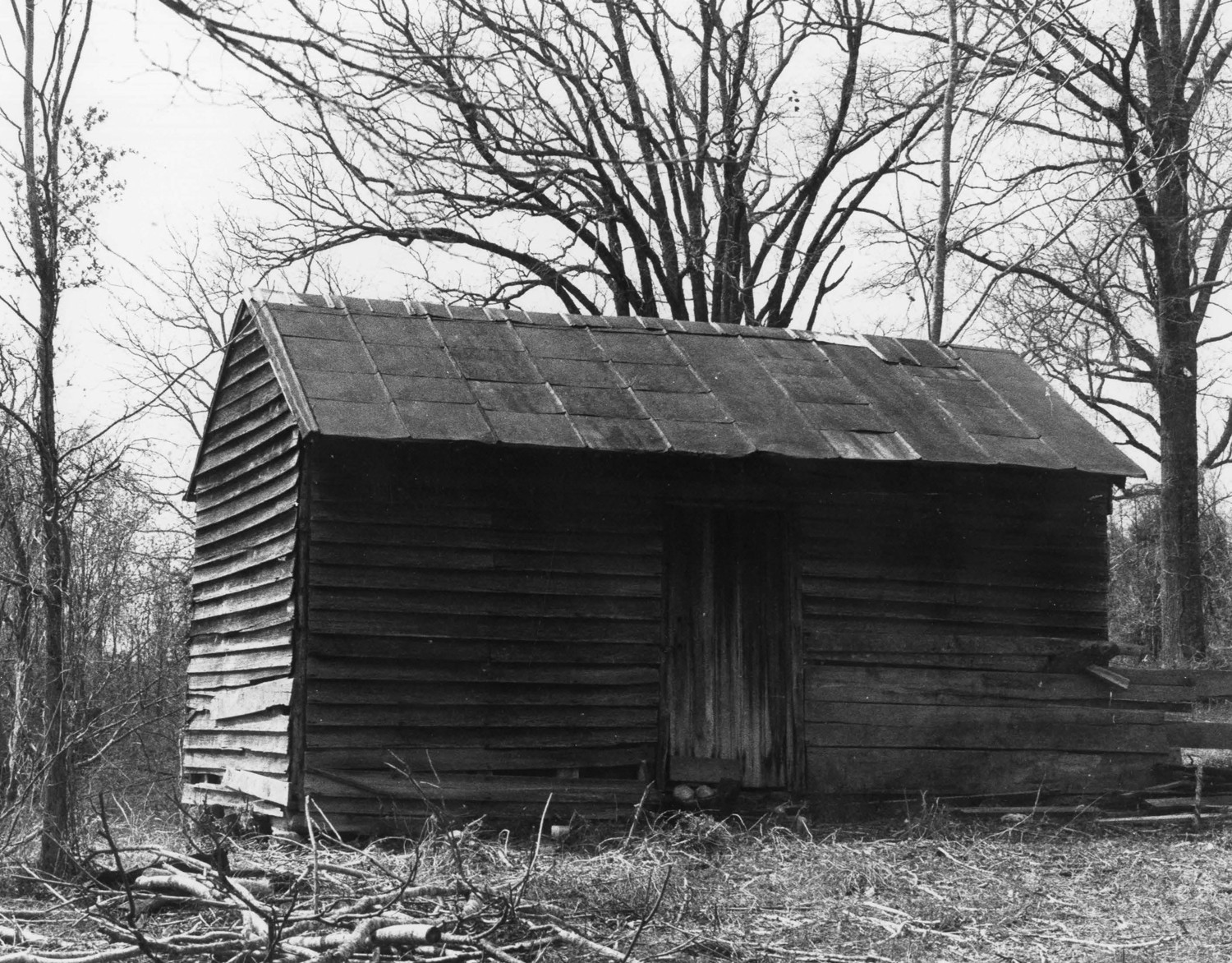 Allison Plantation, York South Carolina 