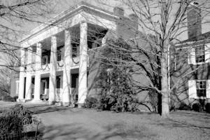 The Hibbettage, Nashville Tennessee