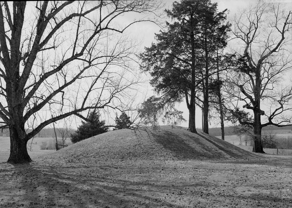 Poplar Forest - Thomas Jefferson Retreat, Forest Virginia WEST MOUND FROM THE EAST (1986)