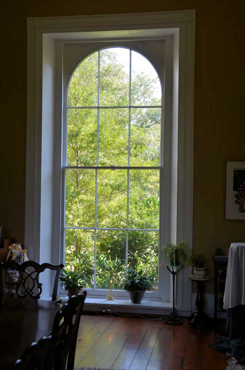 Fighting Creek Plantation, Powhatan Virginia Dining Room arched Palladian floor-to-ceiling 6 over 6 window (2012)