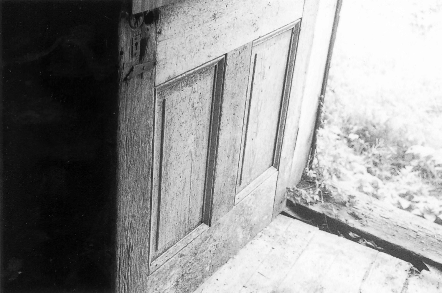 Barleywood, Charles Town West Virginia First floor rear door (2006)